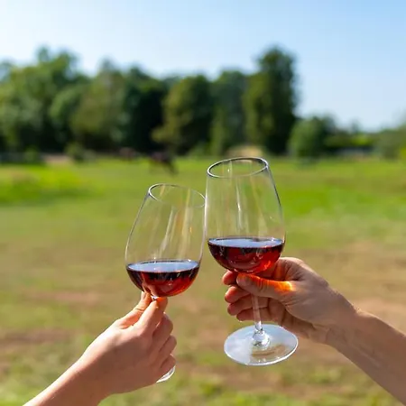 Apartamento Bachglueck