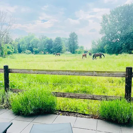 Bachglueck Apartamento *