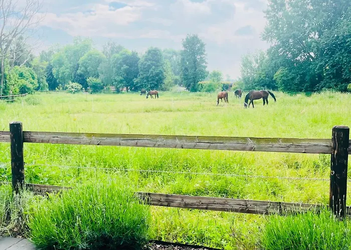 Bachglueck Apartman *